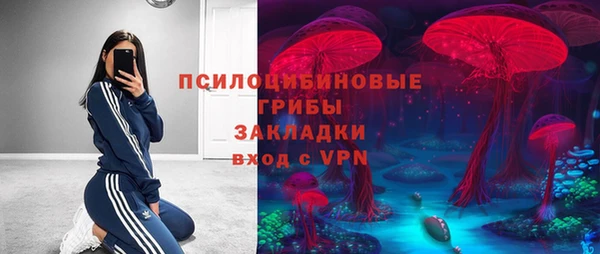 винт Белокуриха