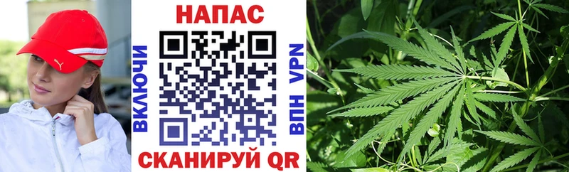 где продают   Никольск  Конопля конопля 